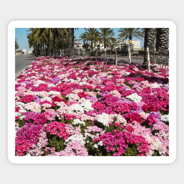 Israel, Maale Adumim. Flowers Magnet by UltraQuirky